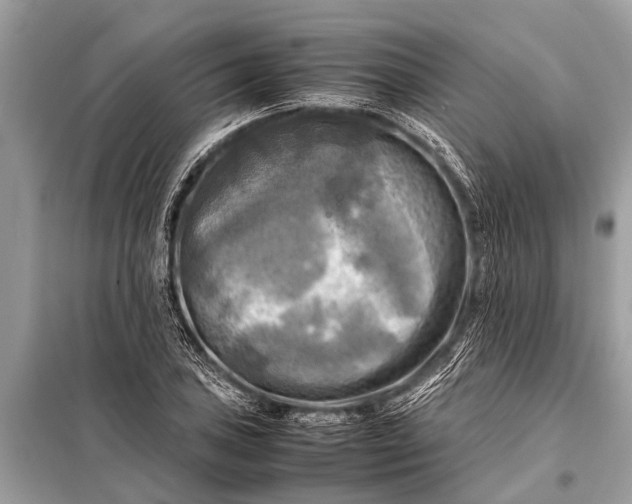 X0000098191027200805081043