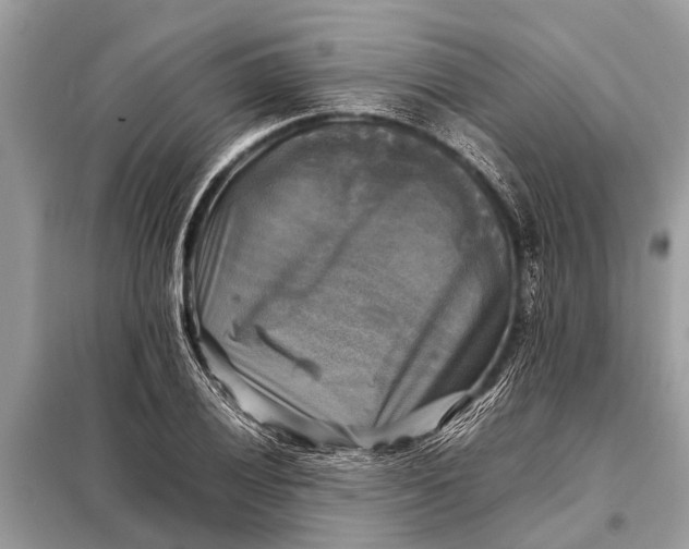 X0000098191028200805081043