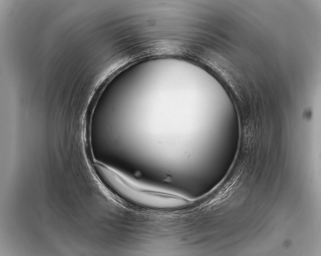 X0000098191034200805081043