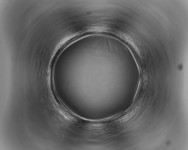 X0000098191035200805081043