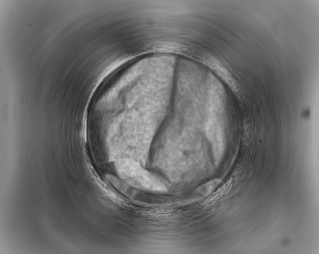 X0000098191036200805081043