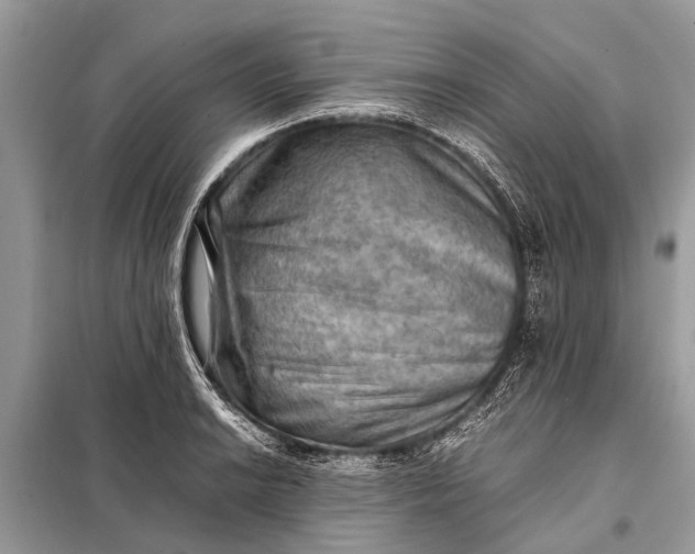 X0000098191038200805081043
