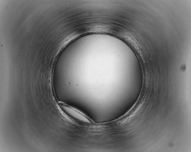 X0000098191041200805081043