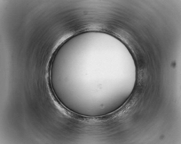 X0000098191042200805081043