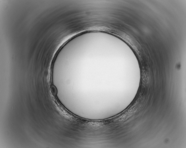 X0000098191044200805081043