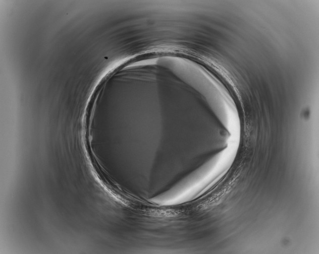 X0000098191045200805081043