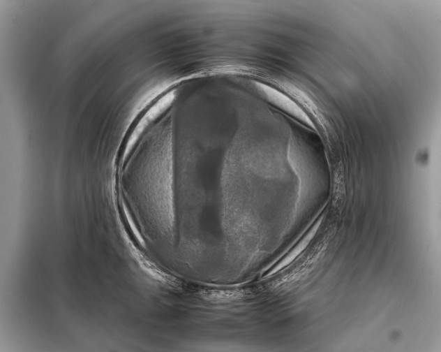 X0000098191047200805081043