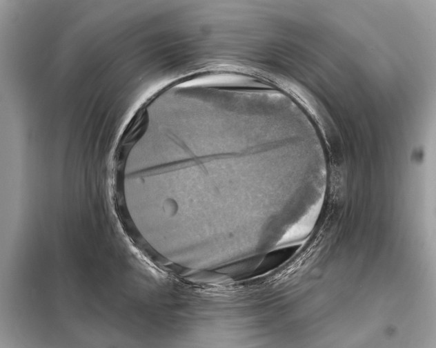 X0000098191048200805081043