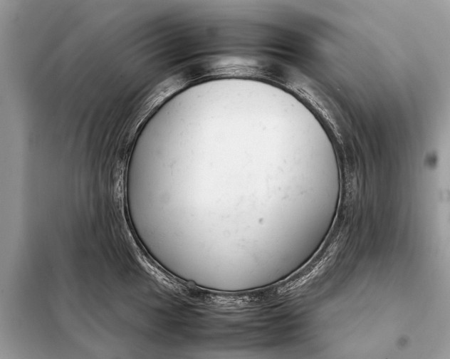 X0000098191049200805081043