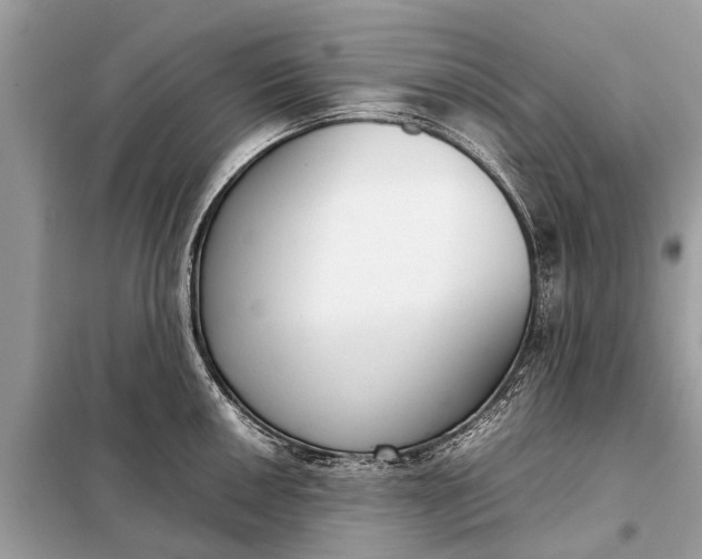 X0000098191050200805081043