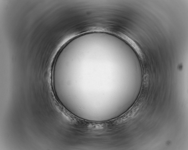 X0000098191051200805081043