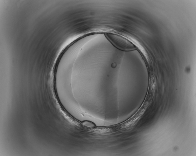 X0000098191053200805081043