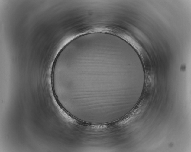 X0000098191055200805081043