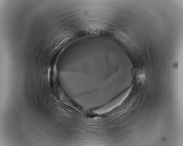 X0000098191060200805081042
