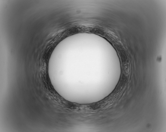 X0000098191061200805081042