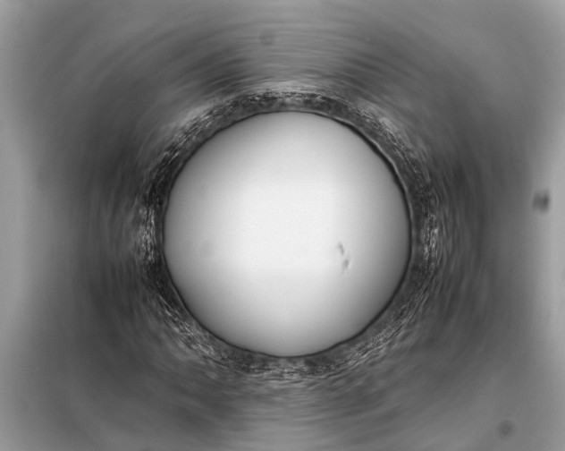 X0000098191062200805081042