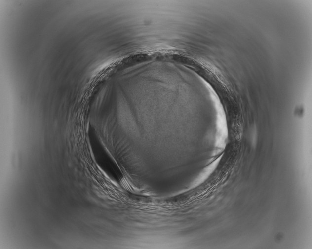 X0000098191063200805081042