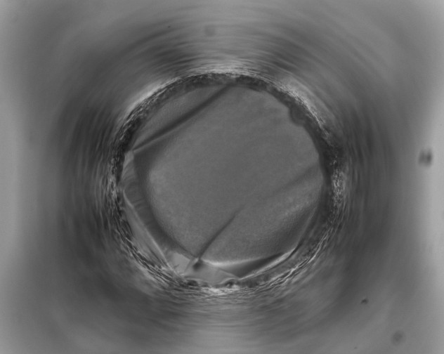 X0000098191064200805081042