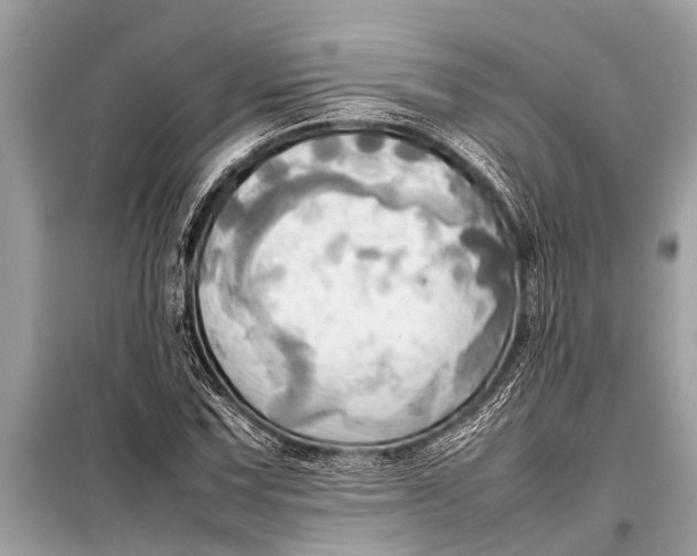 X0000098191067200805081042