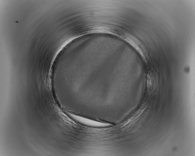 X0000098191068200805081042