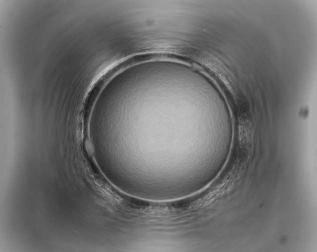 X0000098191069200805081042