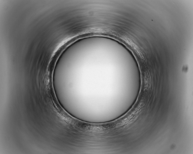 X0000098191070200805081042