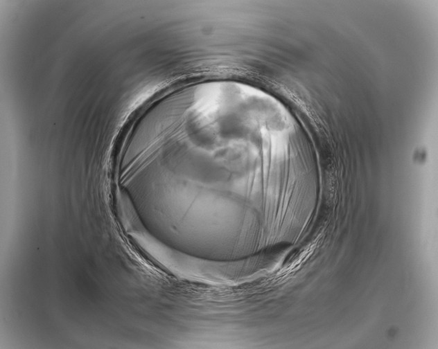 X0000098191071200805081042