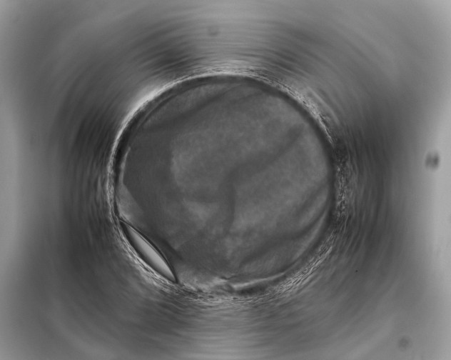 X0000098191072200805081042
