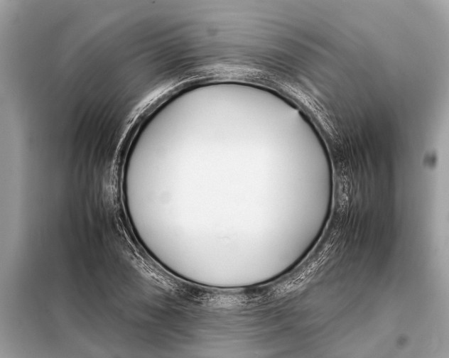 X0000098191074200805081042