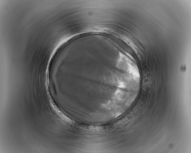 X0000098191080200805081042