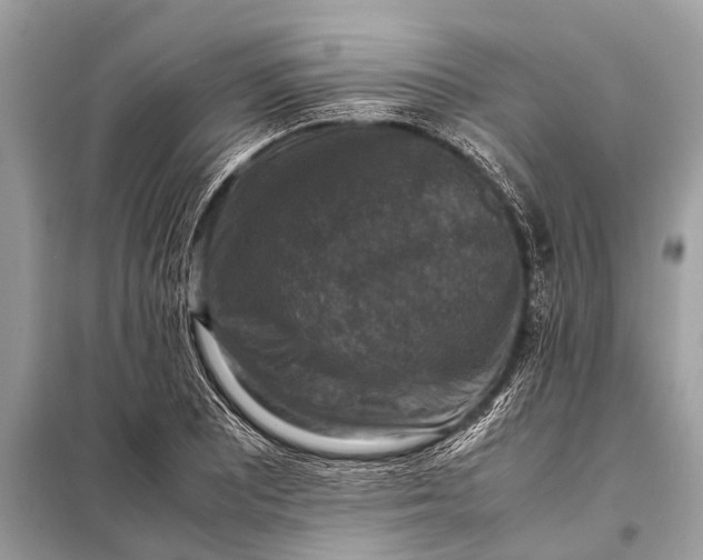 X0000098191081200805081042