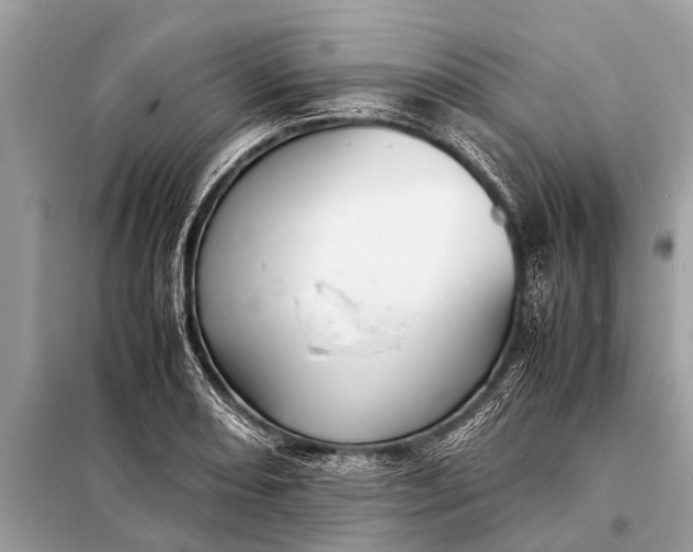 X0000098191082200805081042