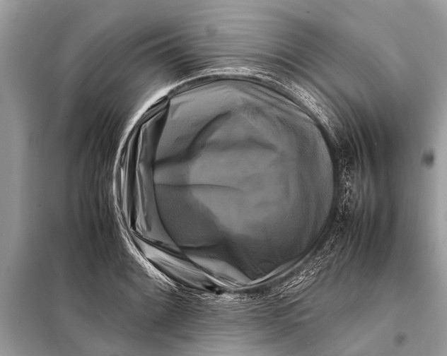 X0000098191084200805081042