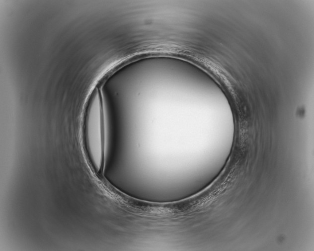 X0000098191085200805081042
