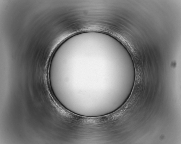 X0000098191086200805081042