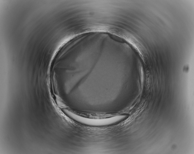 X0000098191088200805081042
