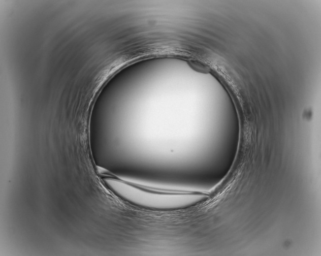 X0000098191089200805081042