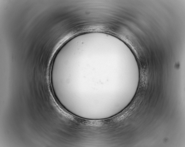 X0000098191090200805081042