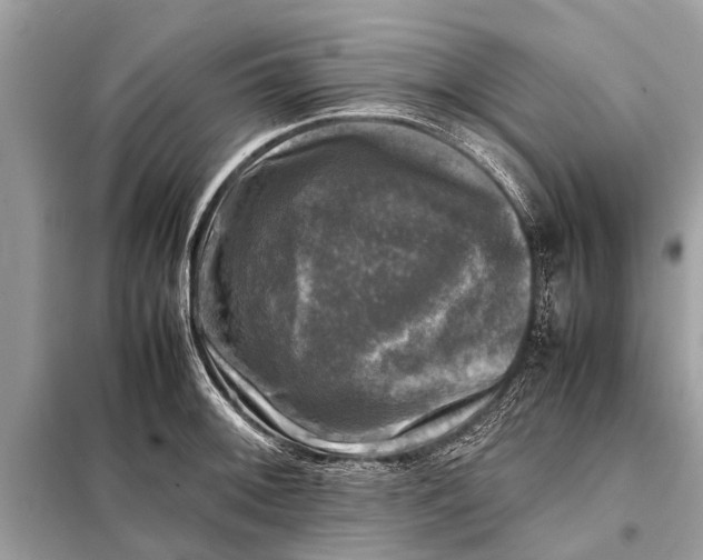 X0000098191092200805081042