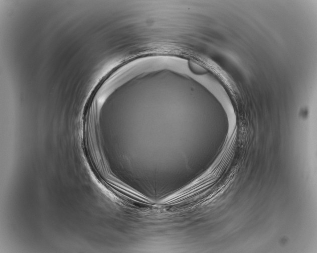 X0000098191095200805081042