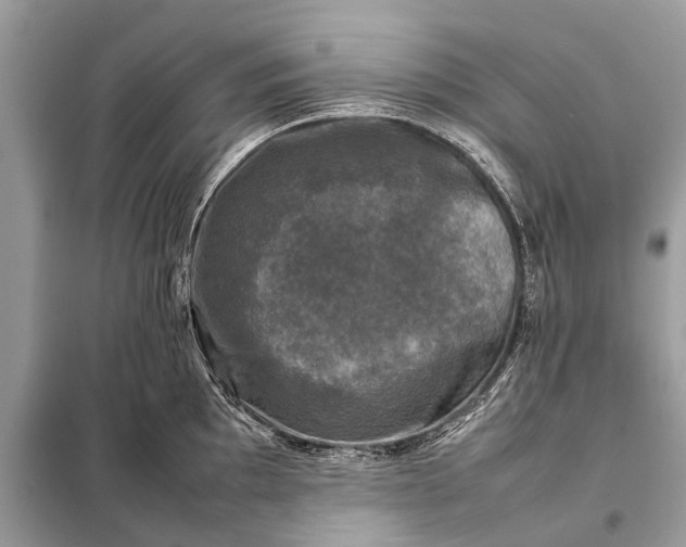 X0000098191097200805081042