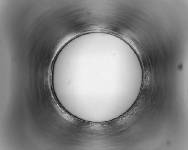 X0000098191098200805081042