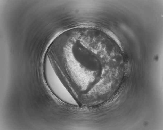 X0000098191099200805081042