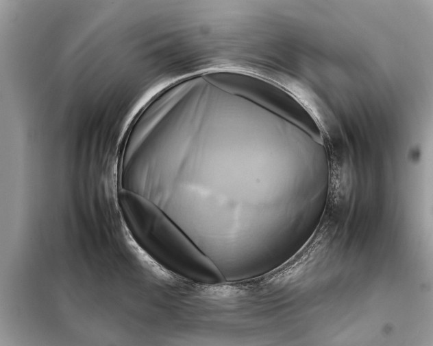 X0000098191100200805081042