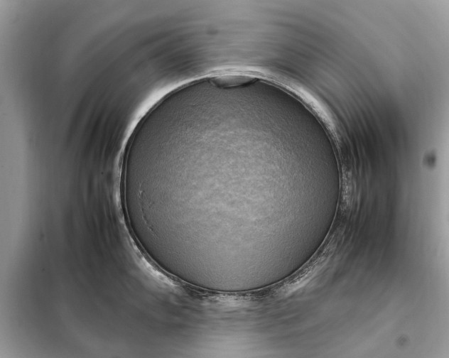 X0000098191102200805081042
