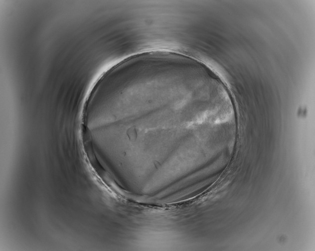 X0000098191104200805081042