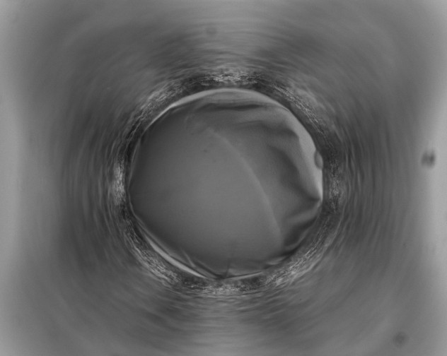 X0000098191106200805081041