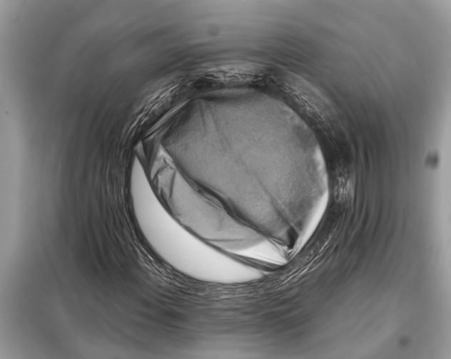 X0000098191108200805081041