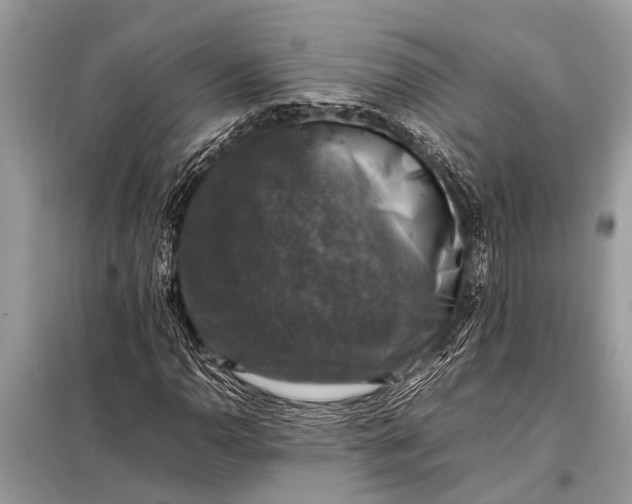 X0000098191110200805081041