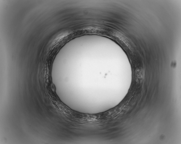 X0000098191111200805081041